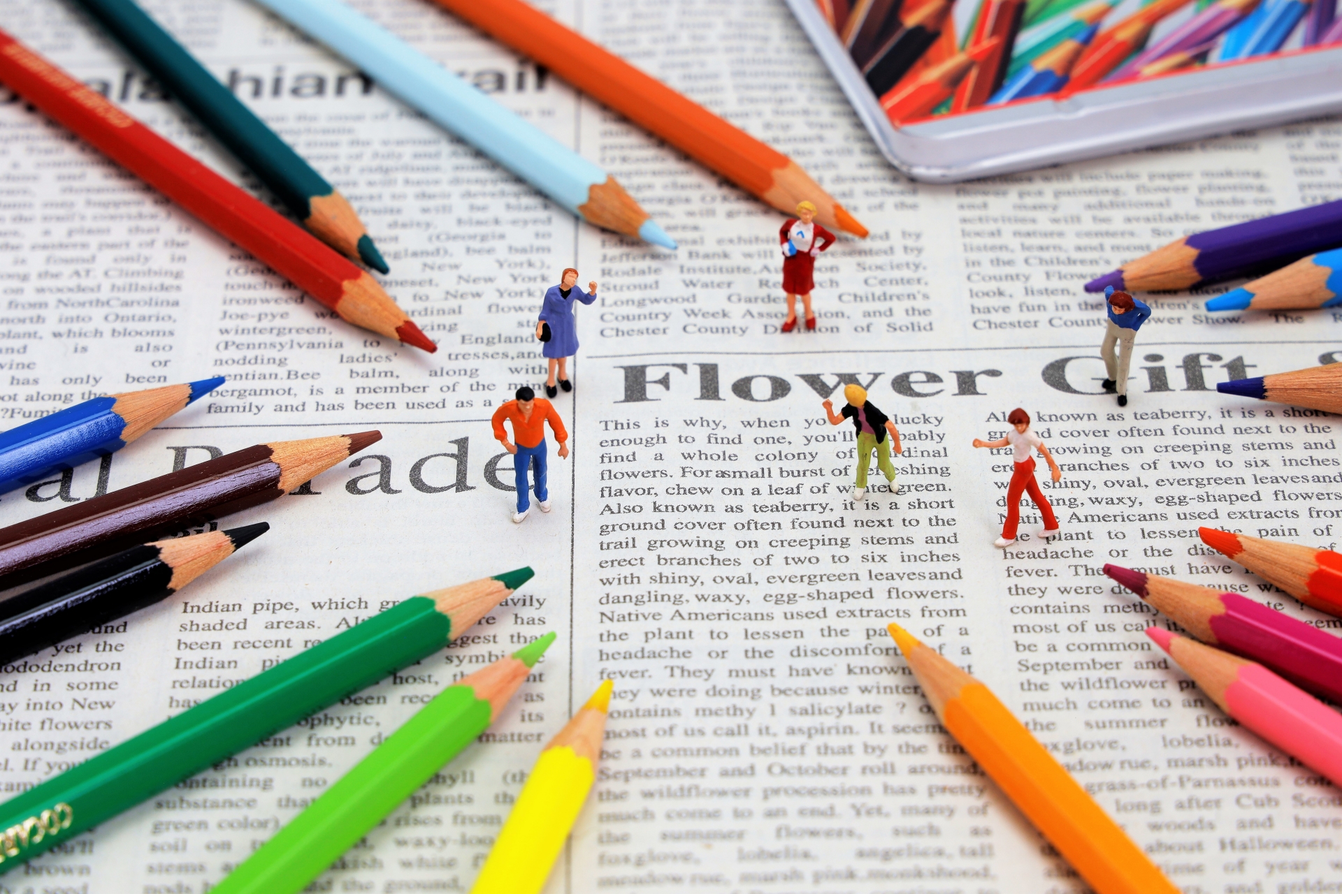 色鉛筆で彩っている画像